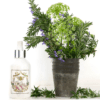 Collette Dinnigan ROOM SPRAY - Fiori di Bosco Collette Dinnigan