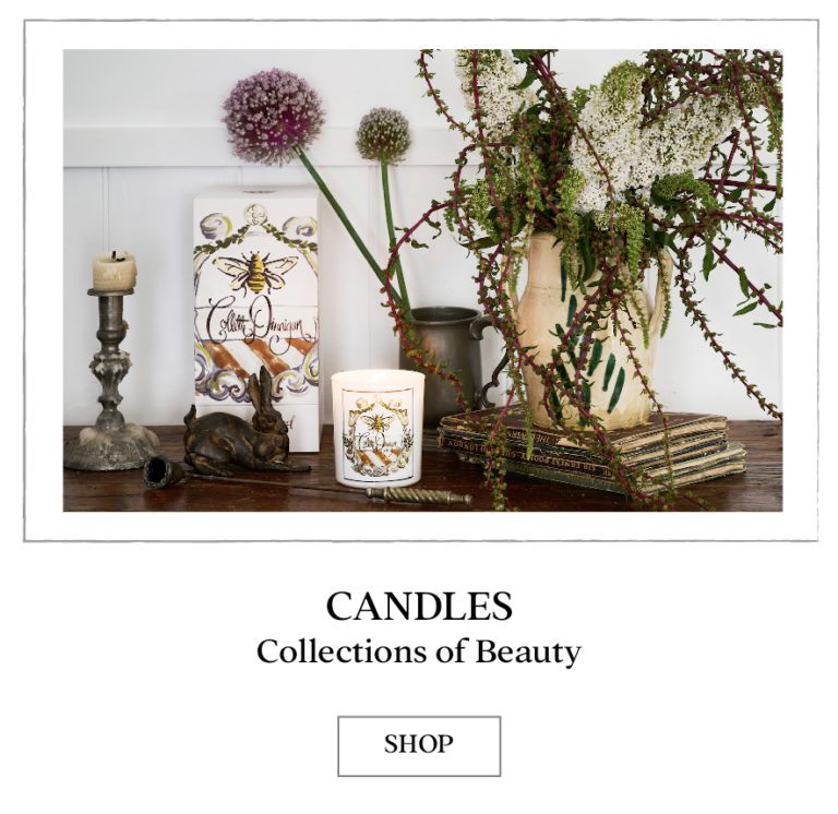 Home Collette Dinnigan