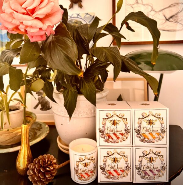 Candle Special Package